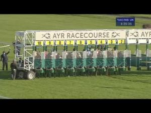 Video preview image for Ayr 16:25 - Whyte & MacKay Handicap