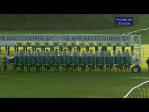 Video preview image for Ayr 17:30 - Caledonia Best Handicap