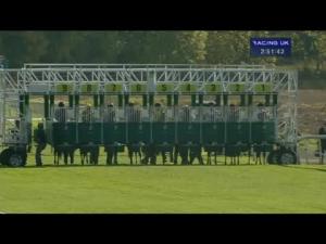 Video preview image for York 14:50 - Future Cleaning Services EBF Stallions Maiden Stakes (Plus 10)