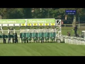 Video preview image for York 15:25 - Stan James Handicap