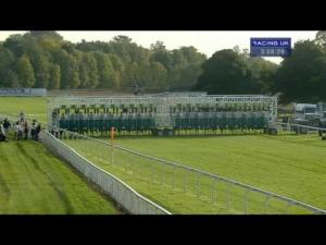 Video preview image for York 15:55 - Parsonage Hotel and Cloisters Spa Handicap