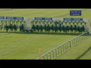 Video preview image for Newmarket 16:15 - Vision Maiden Fillies' Stakes (Plus 10)