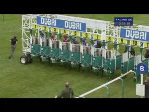 Video preview image for Newmarket 14:35 - Vision Autumn Stakes (Group 3)