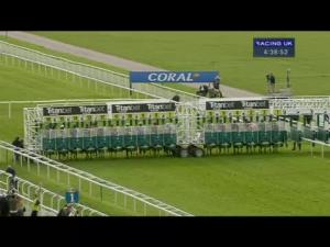 Video preview image for York 16:35 - titanbet.co.uk Stayers Handicap