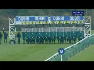 Video preview image for Newmarket 17:35 - Darley Stakes (Group 3)