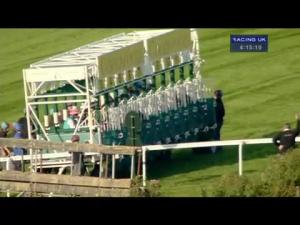Video preview image for Goodwood 16:15 - Irish EBF Maiden Stakes (Plus 10)