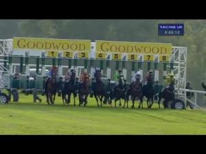 Video preview image for Goodwood 16:45 - Goodwood Racehorse Owners Group Handicap