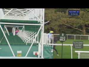 Video preview image for Goodwood 17:15 - Golf At Goodwood Handicap