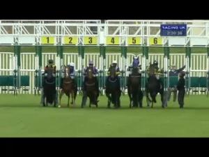 Video preview image for Musselburgh 14:30 - ebfstallions.com Maiden Stakes