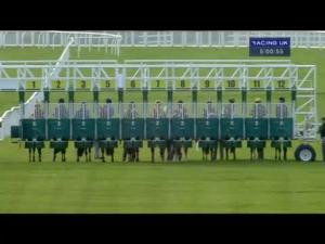 Video preview image for Musselburgh 17:00 - Download Your Racing UK's App Handicap (Div 1)