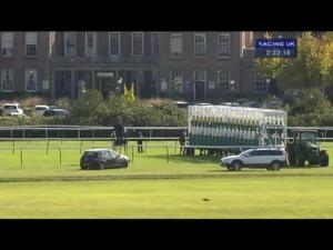 Video preview image for Nottingham 14:30 - trustatraderinsurance.com EBF Maiden Fillies' Stakes (Plus 10)