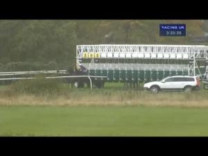 Video preview image for Nottingham 15:35 - trustatrader.com Supporting Friends Of The Elderly Maiden Stakes
