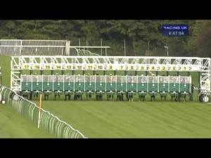 Video preview image for Nottingham 16:45 - trustatrader.com Find Tradespeople You Can Trust Handicap