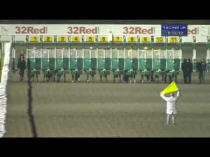 Video preview image for Kempton Park 20:15 - 32red/EBF Stallions Breeding Winners Fillies' Handicap