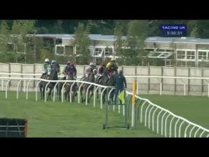 Video preview image for Carlisle 17:30 - Weddings At Carlisle Racecourse Standard Open NH Flat Race