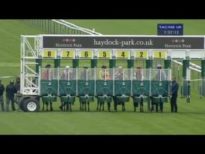 Video preview image for Haydock Park 13:30 - Apollobet In Play Betting Nursery