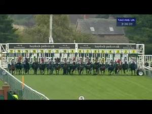 Video preview image for Haydock Park 14:35 - Griffiths and Armour Handicap