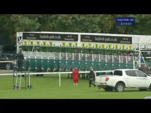 Video preview image for Haydock Park 15:10 - Apollobet Best Odds Guaranteed EBF Maiden Stakes