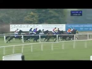 Video preview image for Wincanton 16:45 - Castle Cary Handicap Hurdle