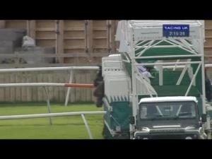 Video preview image for Catterick Bridge 14:15 - totepoolliveinfo.com Maiden Fillies' Stakes (Plus 10)