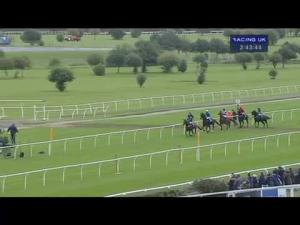 Video preview image for Market Rasen 14:40 - Rase Equine Novices' Hurdle