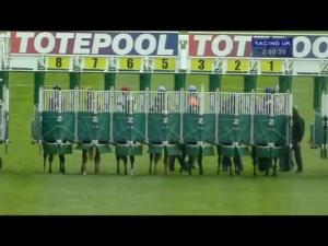Video preview image for Catterick Bridge 14:50 - Totequadpot Four Places In Four Races Claiming Stakes