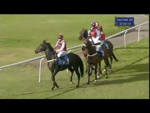 Video preview image for Ludlow 15:10 - Thoroughbred Breeders' Association Novices' Limited Handicap Chase