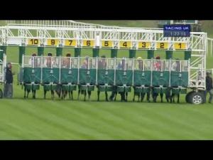 Video preview image for Newbury 13:20 - New Hot To Trot Syndicate EBF Stallions Maiden Stakes (Plus 10) (Div 1)