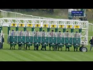Video preview image for Newbury 13:50 - New Hot To Trot Syndicate EBF Stallions Maiden Stakes (Plus 10) (Div 2)