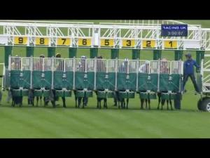Video preview image for Newbury 15:00 - Sir Gerald Whent Memorial Nursery