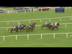 Video preview image for Cheltenham 15:20 - Pertemps Network Handicap Hurdle (Series Qualifier)