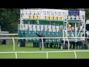 Video preview image for Newbury 15:35 - Almr Fillies' Handicap