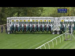 Video preview image for Newbury 16:10 - Berry Bros & Rudd Magnum Handicap