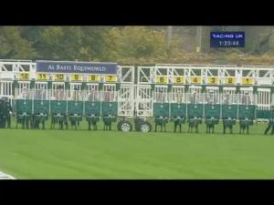 Video preview image for Newbury 13:20 - Al Basti Equiworld EBF Stallions Maiden Fillies' Stakes (Plus 10) (Str) (Div 1)