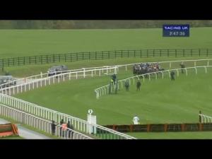 Video preview image for Cheltenham 14:45 - Masterson Holdings Hurdle