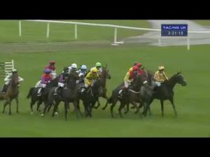 Video preview image for Cheltenham 15:20 - winner.co.uk Trophy (Handicap Chase)