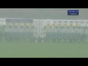 Video preview image for Newbury 15:35 - Al Basti Equiworld Celebration Stakes (Registered As The Radley Stakes) (Fillies Listed) (Str)