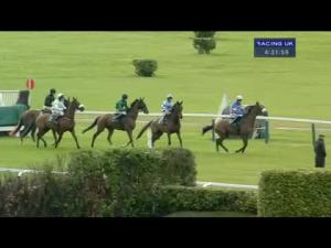 Video preview image for Cheltenham 16:30 - Royal Gloucestershire Hussars Novices' Chase