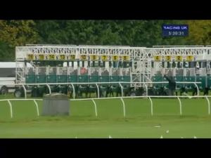 Video preview image for Newbury 17:20 - Rayner Bosch Car Service Handicap (For Lady Amateur Riders)