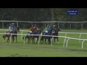 Video preview image for Wincanton 14:45 - Quilter Cheviot Supporting Spinal Cord Injuries Handicap Chase (For The Desert Orchid Silver Cup)