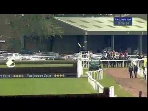 Video preview image for Aintree 15:30 - Monet's Garden Old Roan Chase (Grade 2 Limited Handicap)