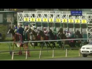 Video preview image for Redcar 14:05 - European Breeders' Fund - Double Trigger Maiden Stakes (For The Double Trigger Trophy)