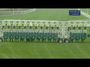 Video preview image for Catterick Bridge 13:10 - Racing UK On Sky 432 Handicap