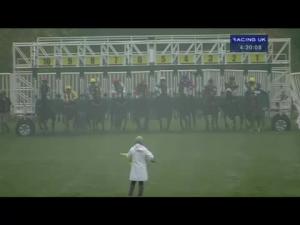 Video preview image for Catterick Bridge 16:20 - Jump Season Next On December 2nd Handicap (Div 2)