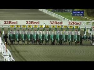 Video preview image for Kempton Park 17:25 - Teach, Travel and Earn At isehove.com Nursery