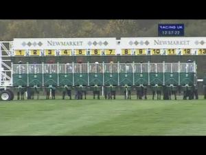 Video preview image for Newmarket 12:55 - Racing Fx Handicap