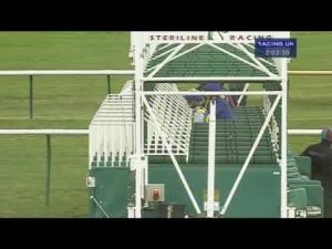Video preview image for Newmarket 14:00 - newmarketracecourses.co.uk Conditions Stakes