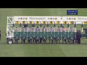 Video preview image for Newmarket 14:35 - EBF Stallions Breeding Winners Fillies' Handicap