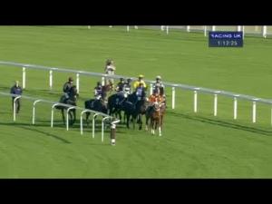 Video preview image for Ascot 13:10 - Colts & Fillies Club Novices' Hurdle
