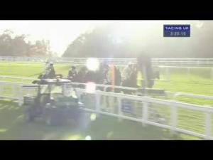 Video preview image for Ascot 15:25 - Sodexo Gold Cup Handicap Chase (Grade 3)